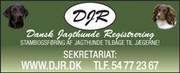 Dansk Jagthunderegistrering